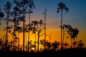 Sun setting at a Great Hiking Destinations in Florida