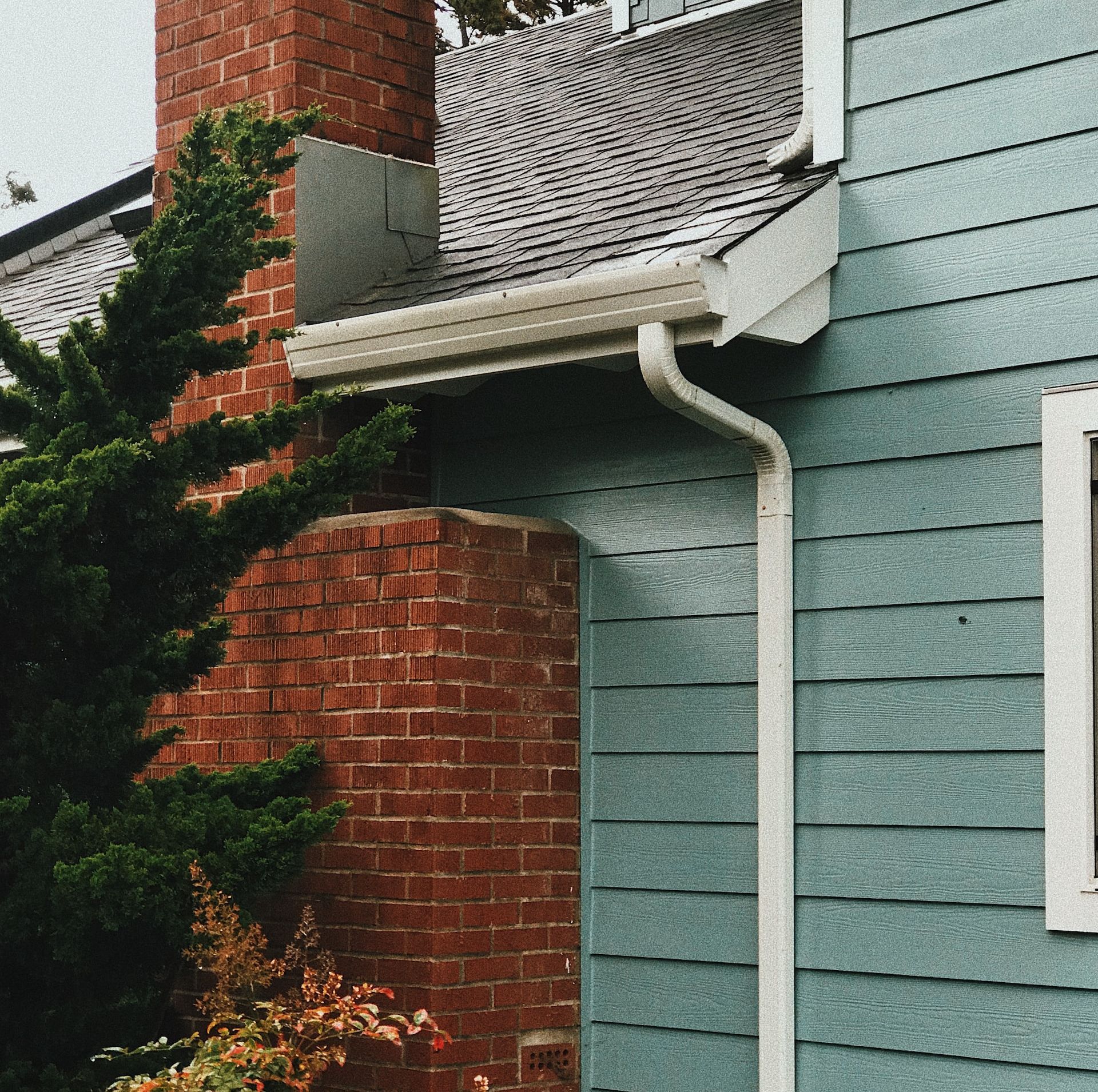 roof gutters that need cleaning