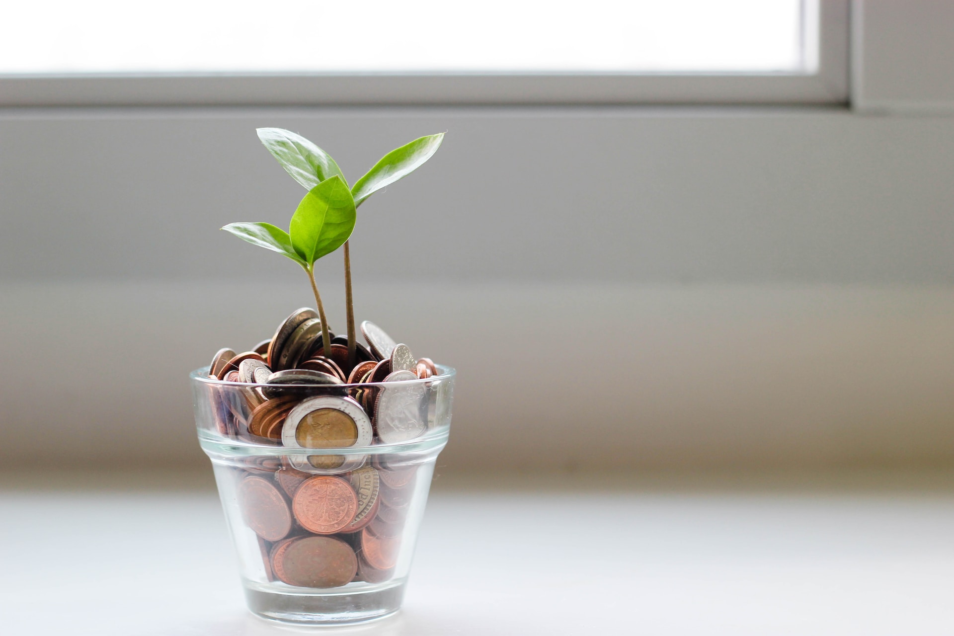 A jar filled with coins from which a plant has sprouted.