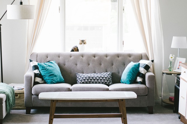 A living room sofa and lamp