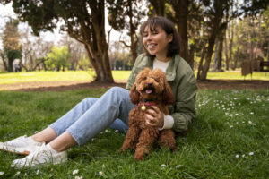 dog in park with owner