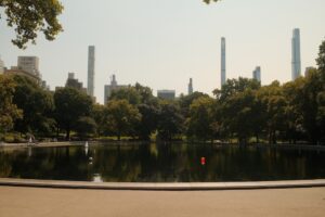 A tranquil pond surrounded by lush greenery 