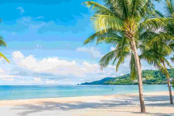 Coconut palm tree with Beautiful Tropical beach and sea