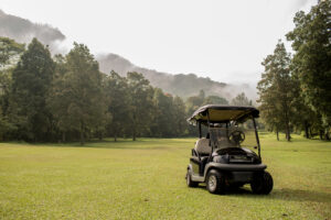golf-cart