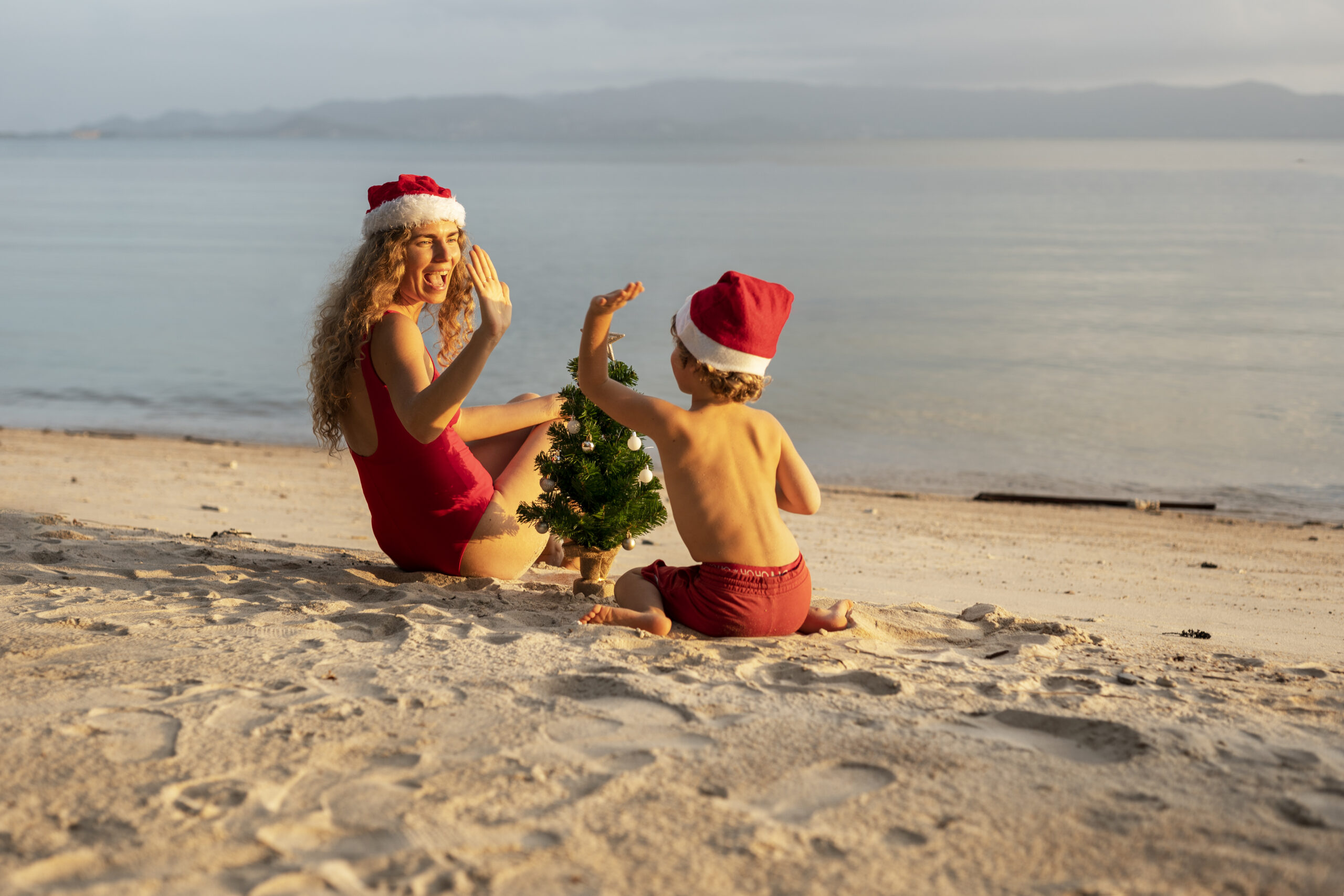 Christmas on the beach in Hawaii with a little Christmas tree.