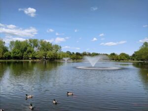 Pond in lake