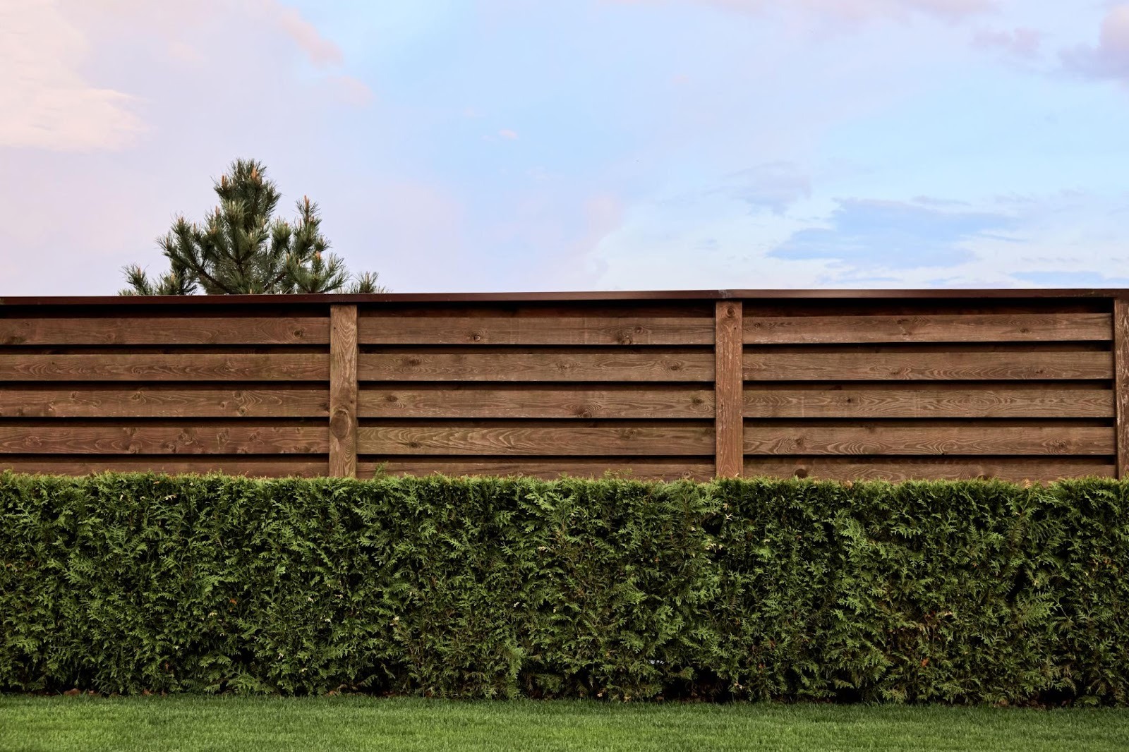 Fence wall