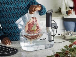 annova precision cooker