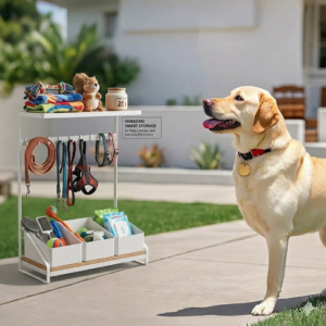 Dog sitting beside color belt